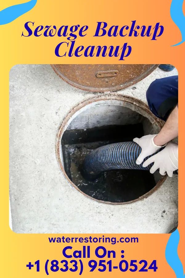 Sewage Backup Cleanup in Dickson, OK